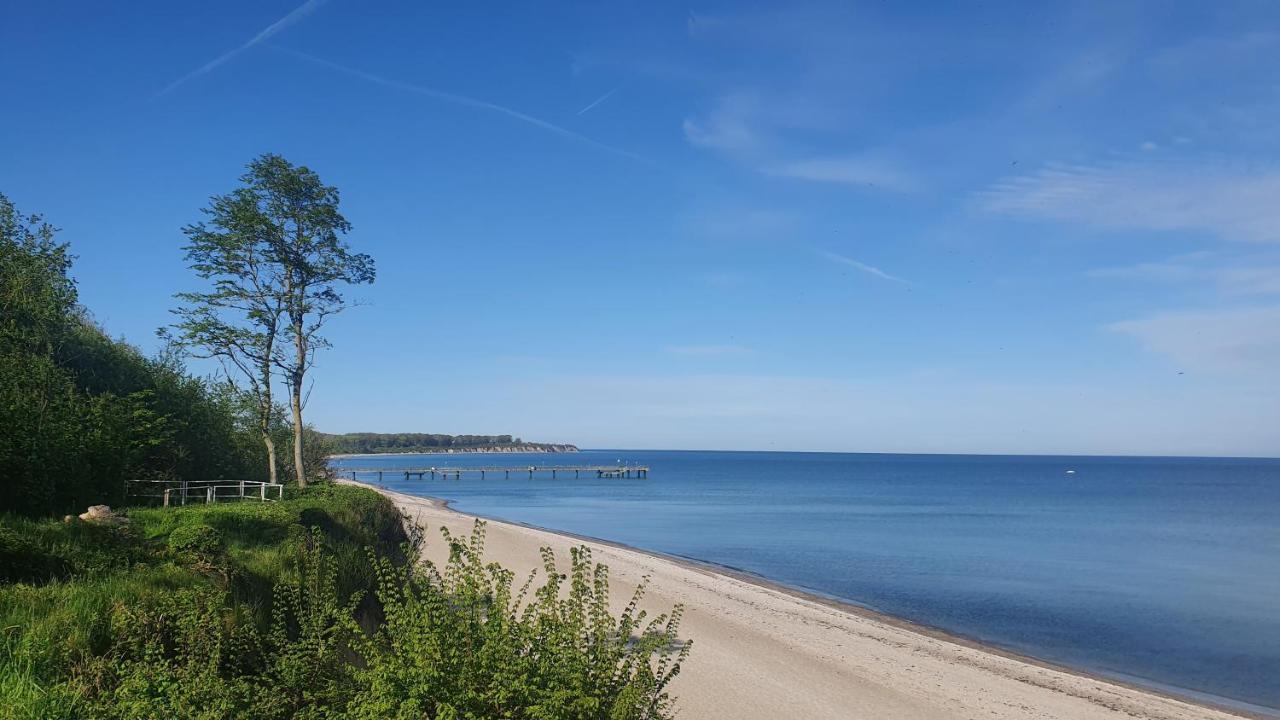 Lieblingsplatz - Traumhafte Wohnung Mit Sauna - 200M Vom Strand Rerik Exterior foto